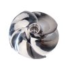 Jet Ski Impeller for Sea Doo Watercraft GTI 130 GTX 155 GTX 4-TEC RXP 155 GTI 155 Small Shaft Compatible Solas SR-CD-10/18 4 Blades 155.5mm